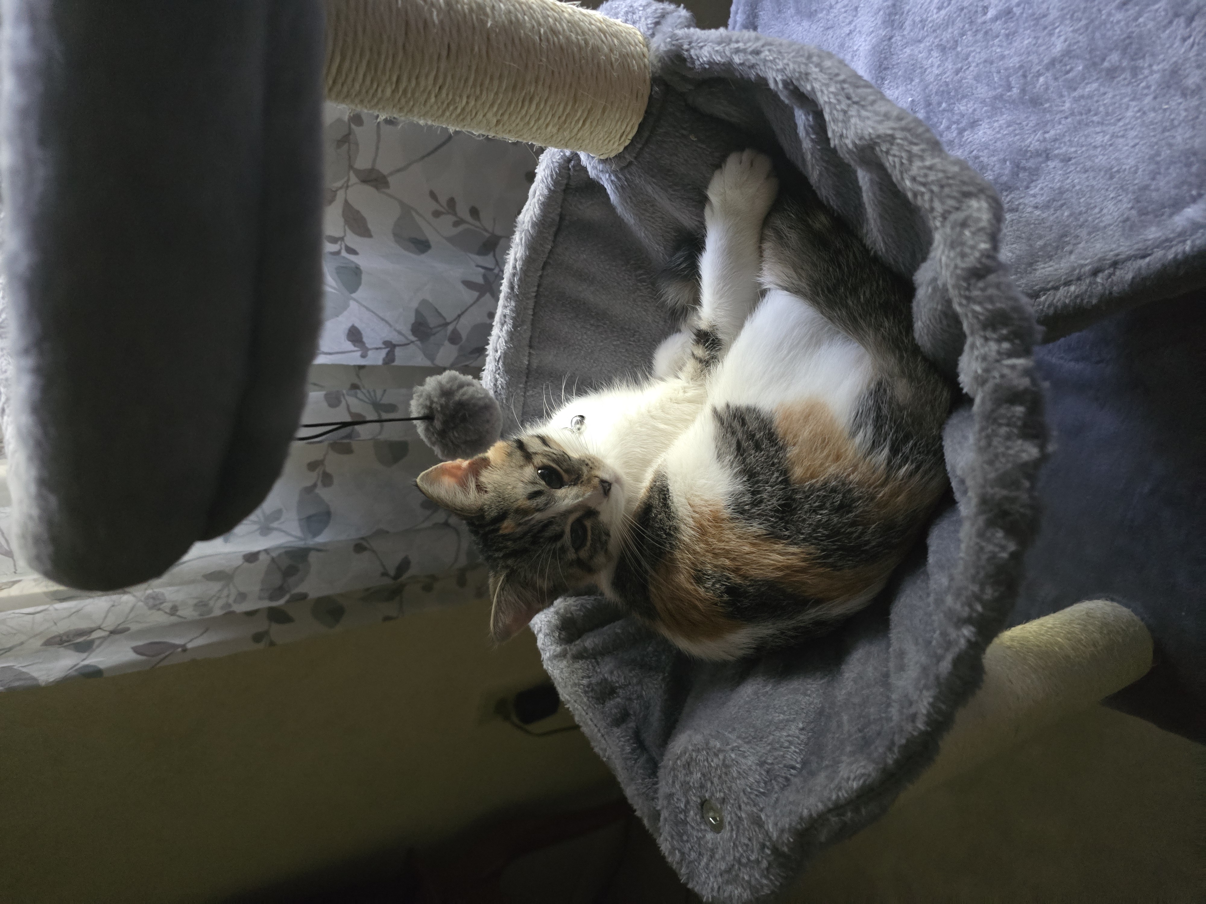 Luna